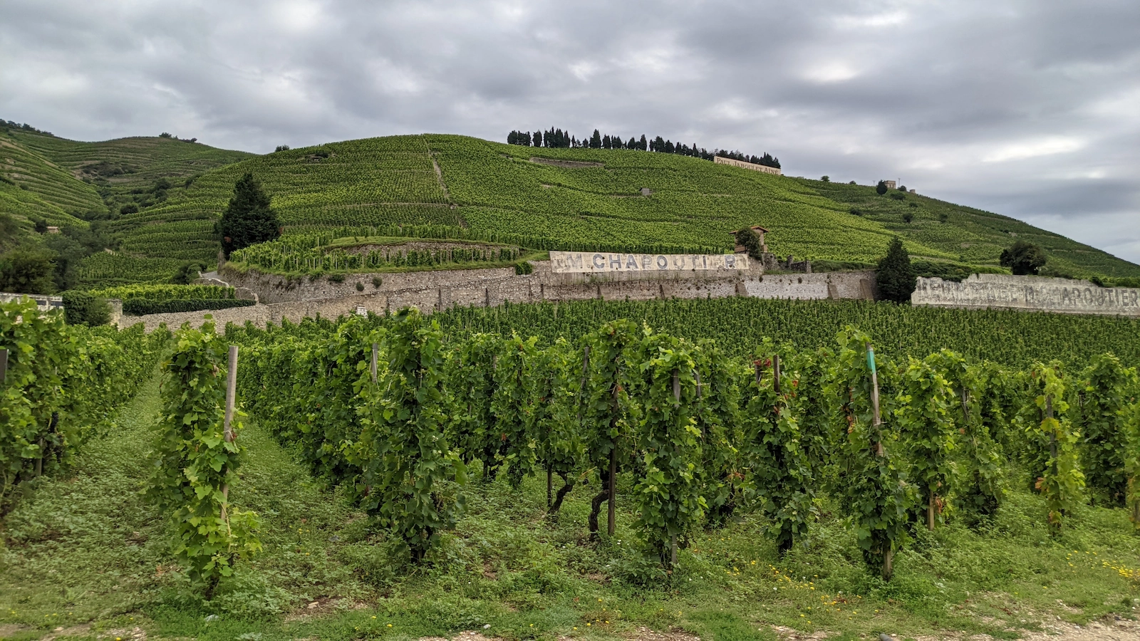Wine event and communication